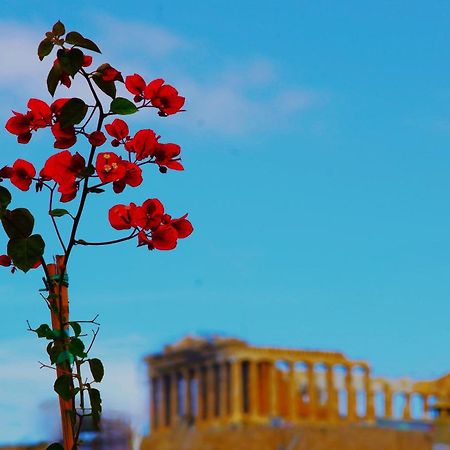 Absolute Athens Acropolis View Aparthotel Bagian luar foto