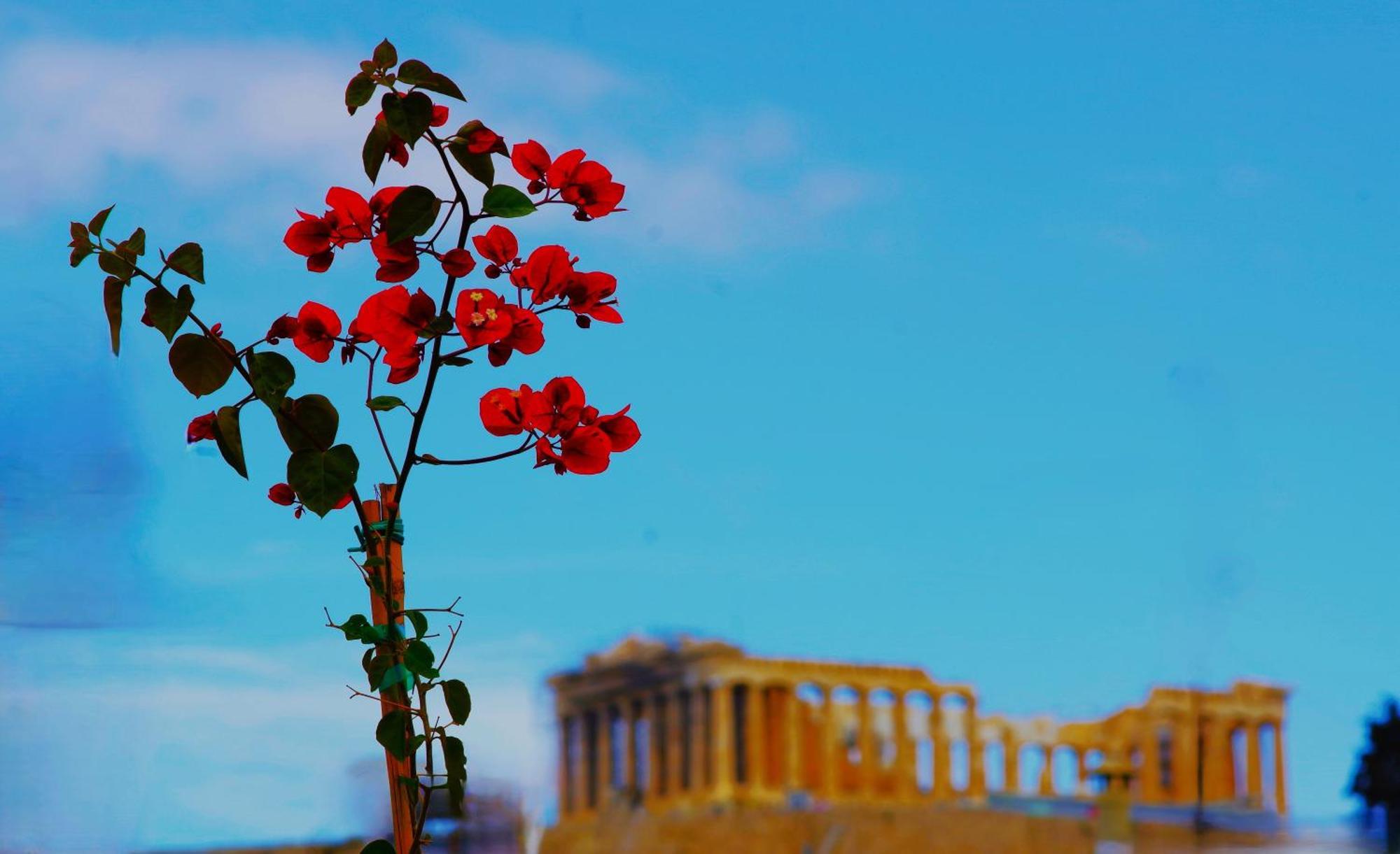 Absolute Athens Acropolis View Aparthotel Bagian luar foto