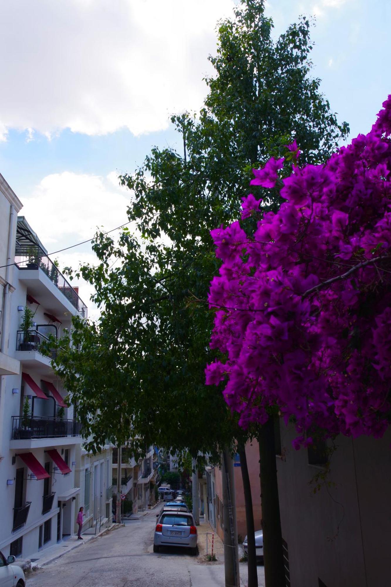 Absolute Athens Acropolis View Aparthotel Bagian luar foto