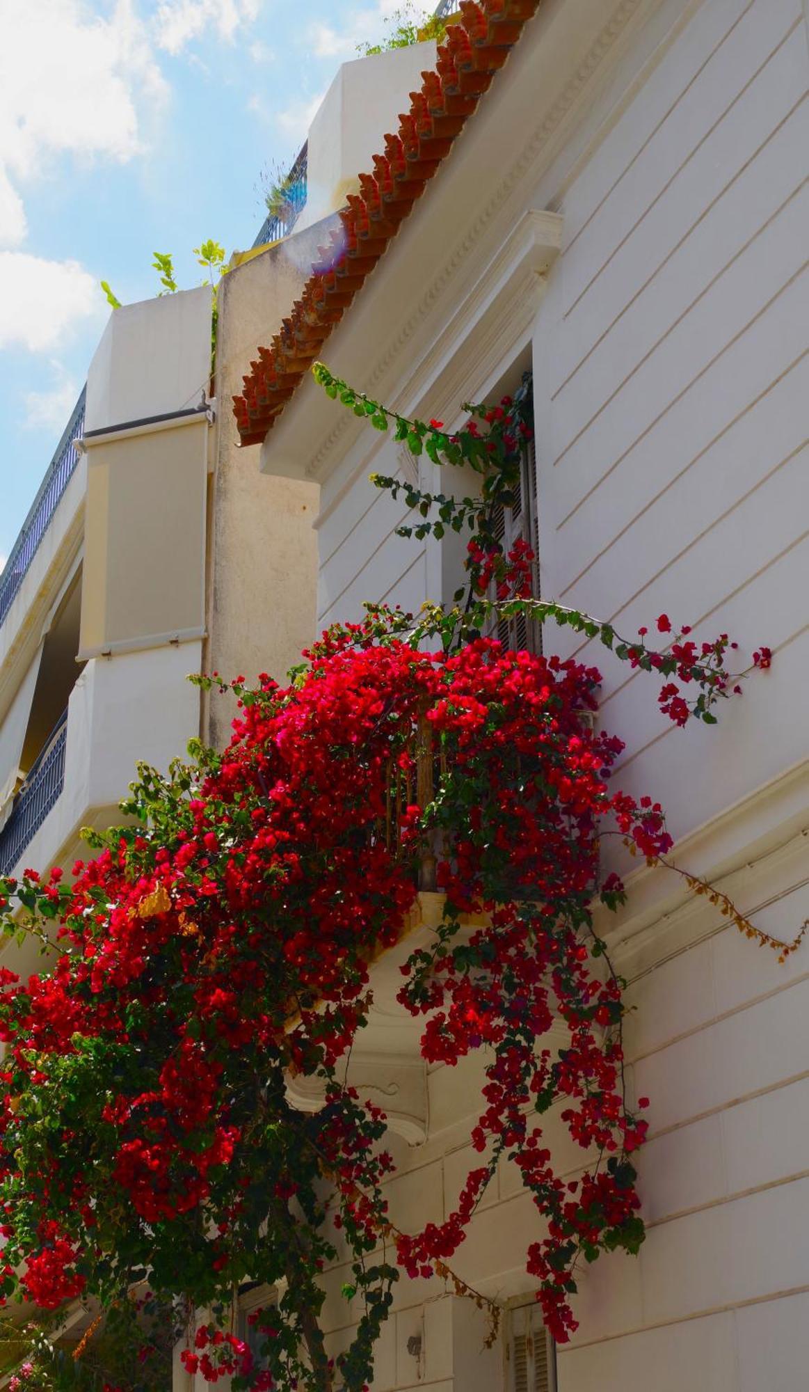 Absolute Athens Acropolis View Aparthotel Bagian luar foto